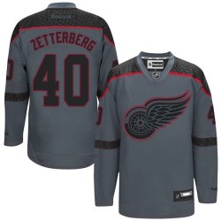 Henrik Zetterberg Detroit Red Wings Reebok Authentic Charcoal Cross Check Fashion Jersey ()