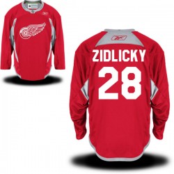 Marek Zidlicky Detroit Red Wings Reebok Authentic Practice Team Jersey (Red)