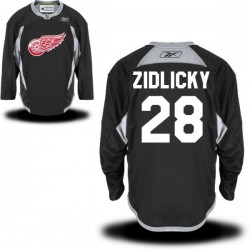 Marek Zidlicky Detroit Red Wings Reebok Authentic Practice Alternate Jersey (Black)