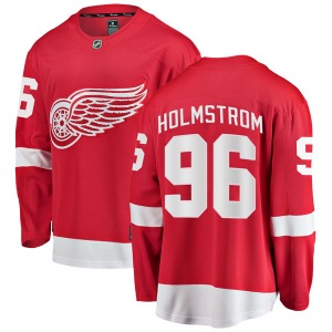 Tomas Holmstrom Detroit Red Wings Fanatics Branded Youth Breakaway Home Jersey (Red)